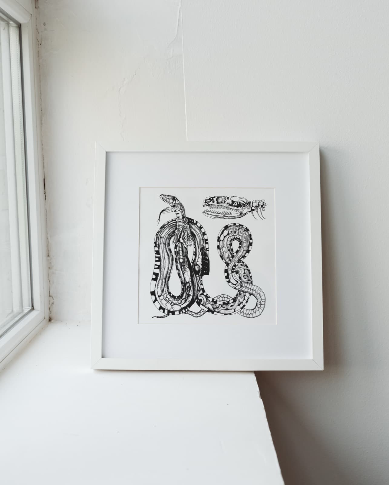 Snake Study, a pen and ink illustration by Janke de Kock, shown framed by a window